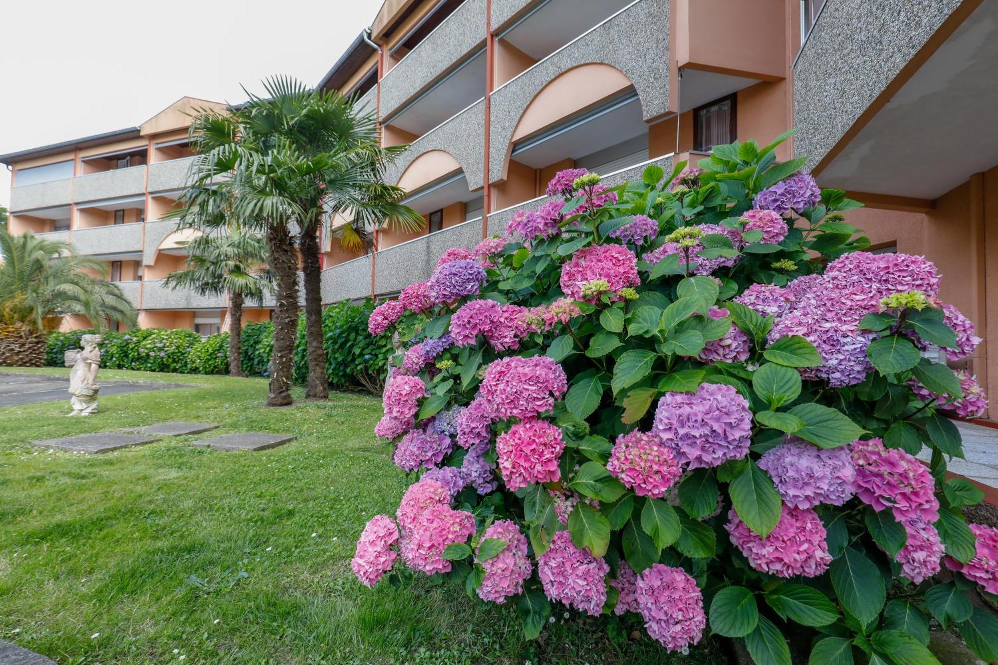 ホテル Les Terrasses De Borda*** ダクス エクステリア 写真